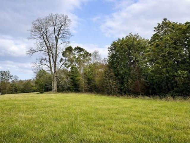 Frutillar, Los Muermos Cañitas