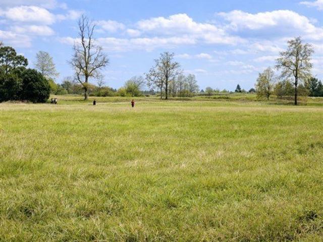 Frutillar, Los Muermos Cañitas