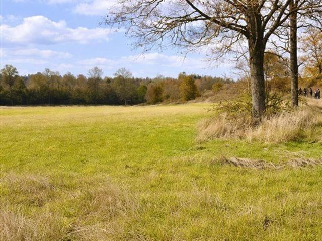 Frutillar, Los Muermos Cañitas