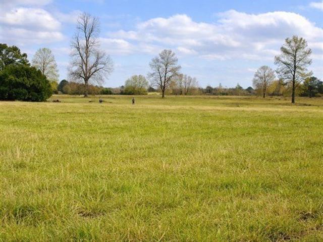 Frutillar, Los Muermos Cañitas