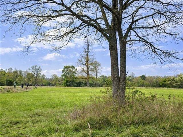 Frutillar, Los Muermos Cañitas