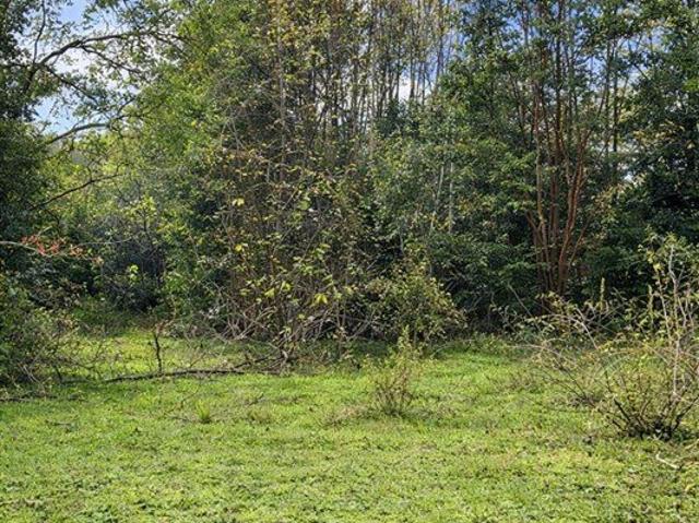 Frutillar, Los Muermos Cañitas