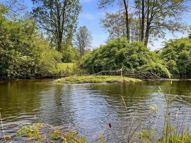 Frutillar, Los Muermos Cañitas