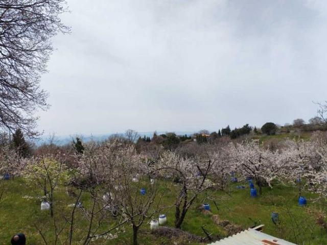 Terreno in vendita a Catania, Sicilia