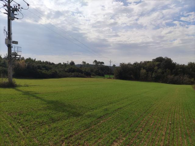 Terreno en venta en Vilopriu