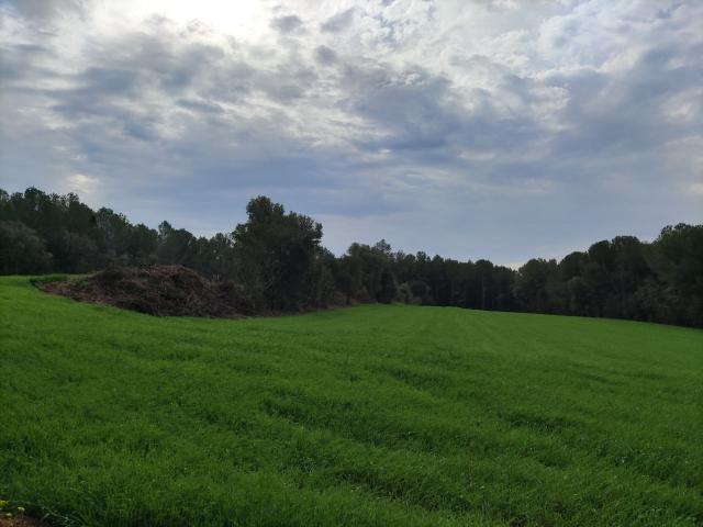 Terreno en venta en Vilopriu