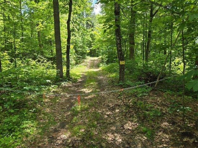 Land for sale in Remer, Minnesota