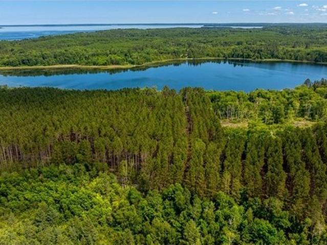 Land for sale in Walker, Minnesota