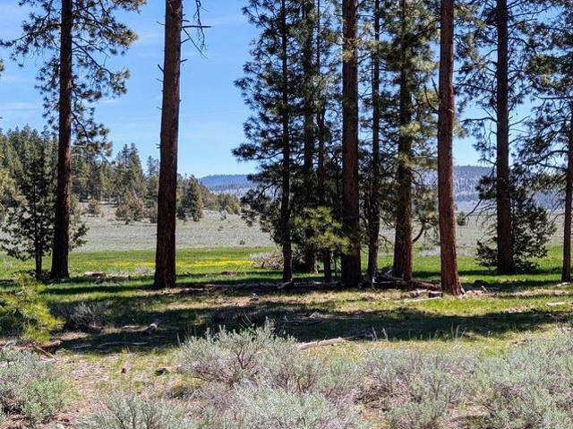 Land for sale in Oregonia