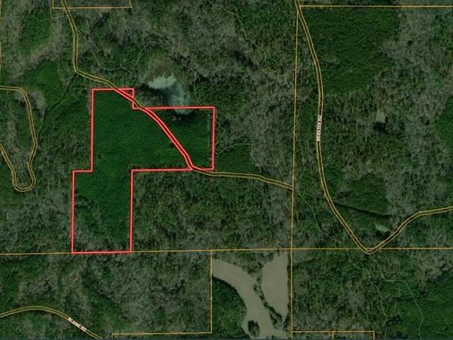 Land for sale in Choctaw, Mississippi