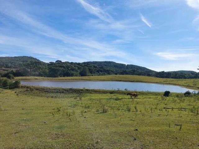 Sítio e chácara venda em Região Geográfica Imediata de Caxias do Sul, Caxias do Sul