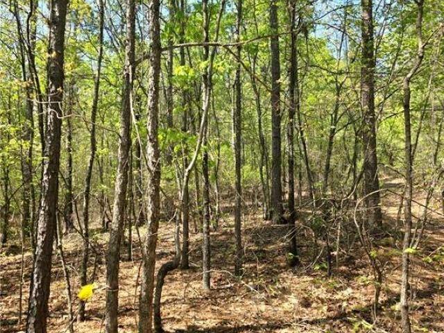Land for sale in Ark