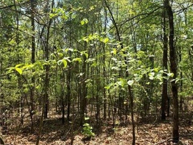 Land for sale in Ark