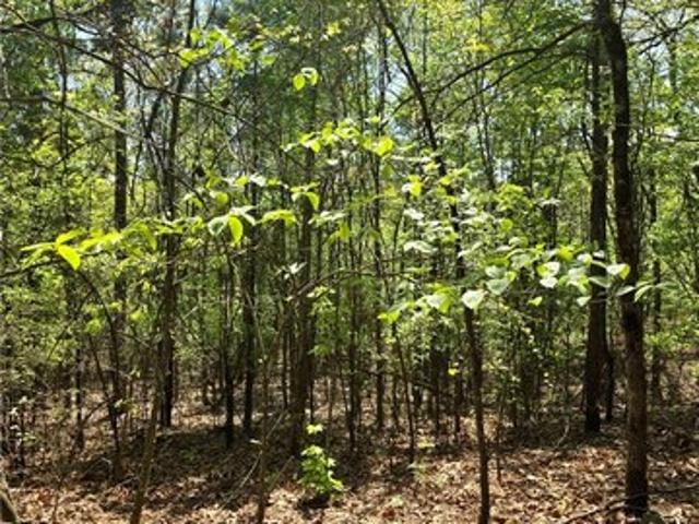 Land for sale in Ark