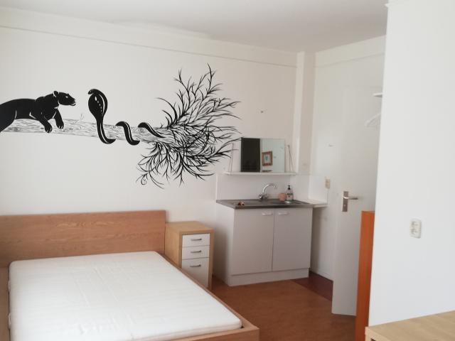 Kamer te huur in Camminghaburen, Leeuwarden