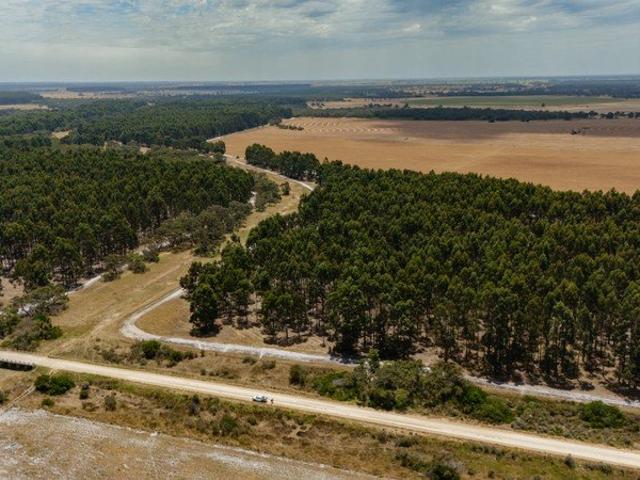 Cottage for sale in Coles, Naracoorte Lucindale Council