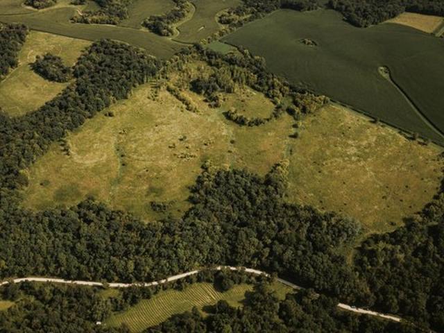 Land for sale in Luana, Iowa