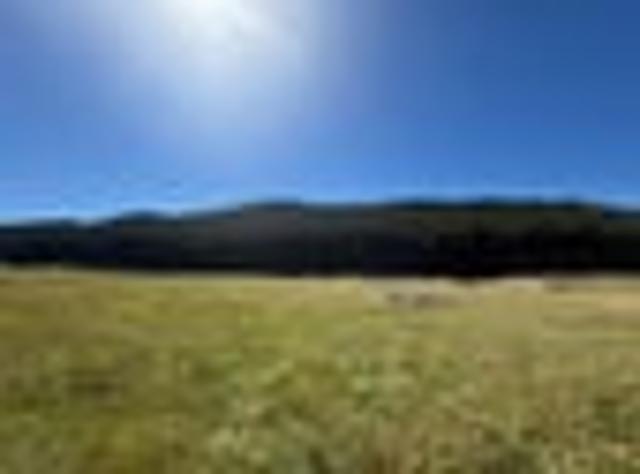 Land for sale in Otakou