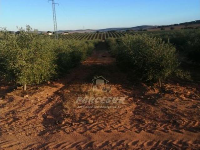 Local Comercial en venta en La Granjuela, Andalucía