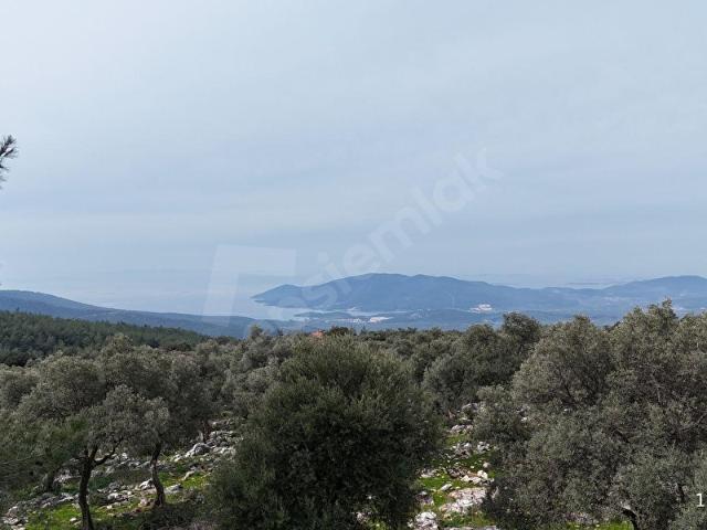 Milas, Muğla içerisinde satılık mülk