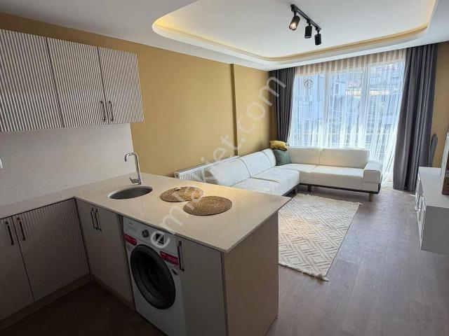 Kurupelit, Atakum içerisinde kiralık mülk