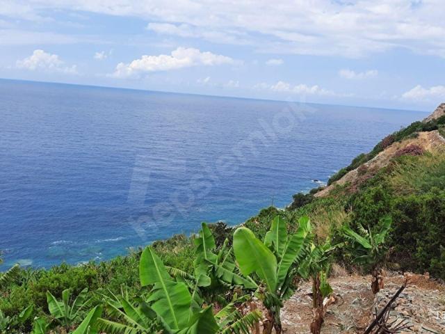 Gazipaşa, Antalya içerisinde satılık Arsa