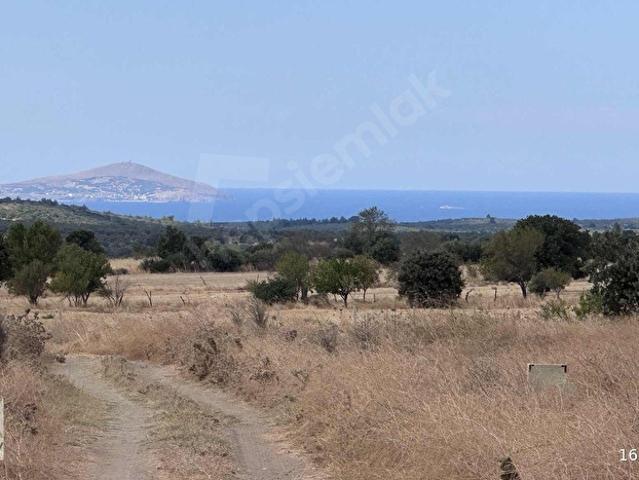 Ezine, Çanakkale içerisinde satılık Arsa