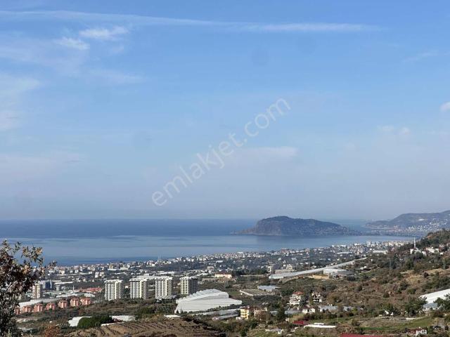 Alanya, Antalya içerisinde satılık mülk