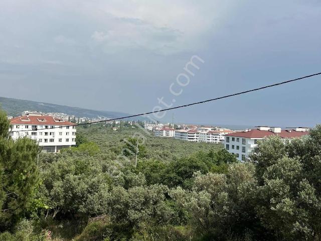 Armutlu, Yalova içerisinde satılık mülk