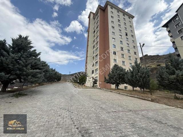 Gümüşhane Merkez, Gümüşhane içerisinde kiralık mülk