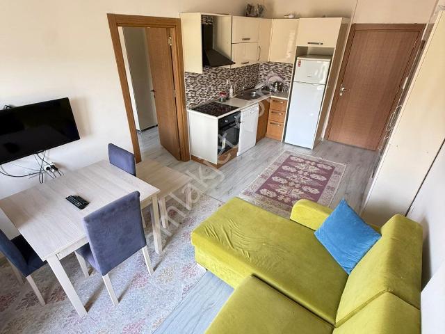 Düzce Merkez, Düzce içerisinde kiralık mülk