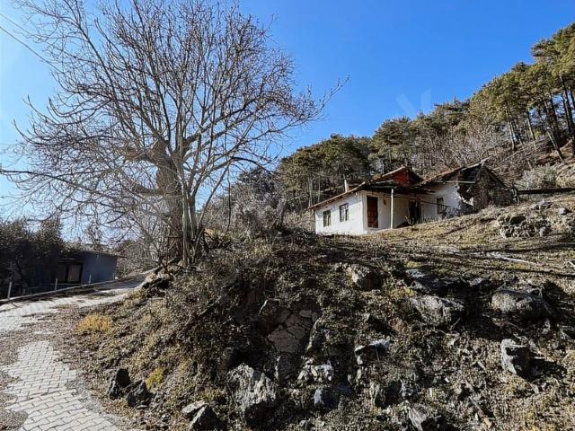 Yayla, Köyceğiz içerisinde satılık Arsa