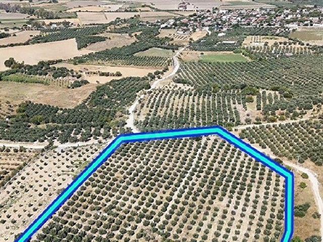 Didim, Aydin içerisinde satılık Arsa