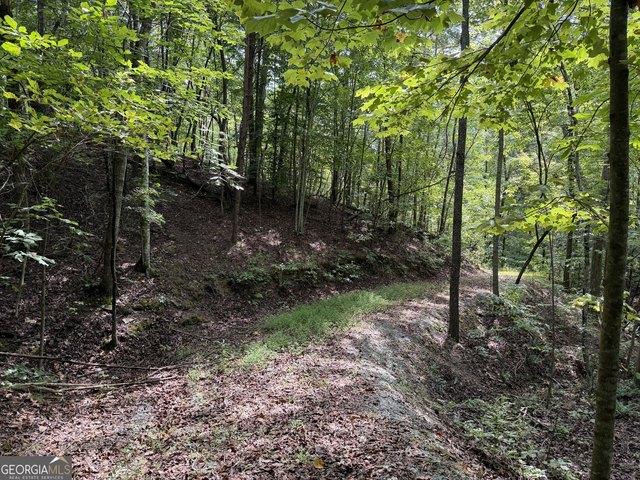 Land for sale in Fairmount, Gordon County