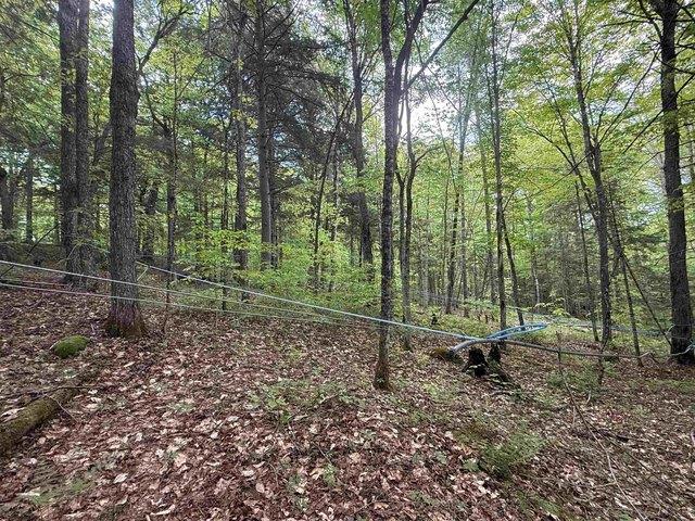 Land for sale in Newbury, Vermont