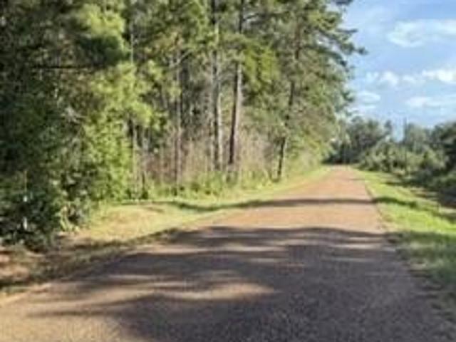Land for sale in Pitkin, Louisiana