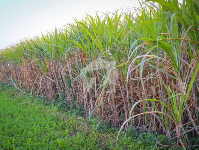 Land for sale in Faisalabad, Islamabad Capital Territory