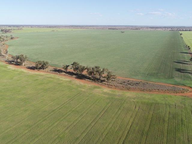 Property for sale in Weengallon, Queensland