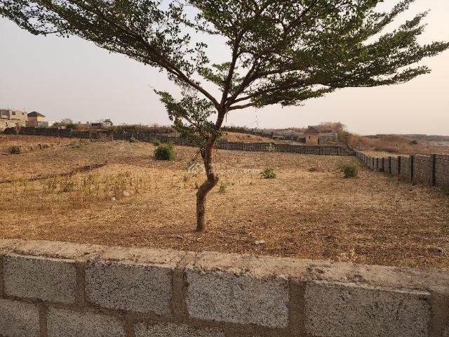 Land for sale in Sokoto