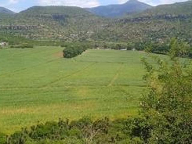 Farm for sale in Greytown, Kwazulu-natal