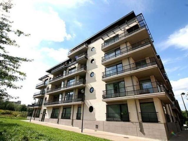 Kot location à Sint-lambrechts-woluwe, Bruxelles
