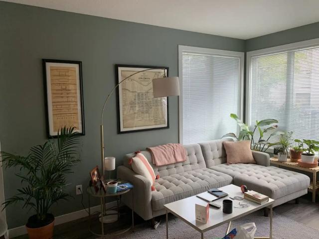 Condo for rent in Strathcona, Edmonton