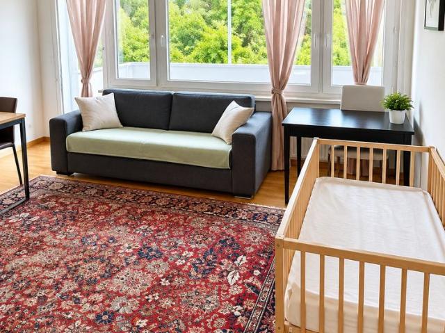 Apartment mieten in Leepünt, Dübendorf