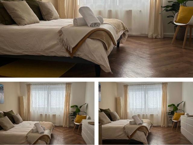 Apartment mieten in Mitte, Braunschweig