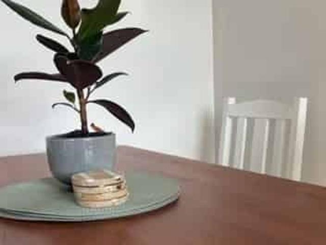 House for rent in Otakou