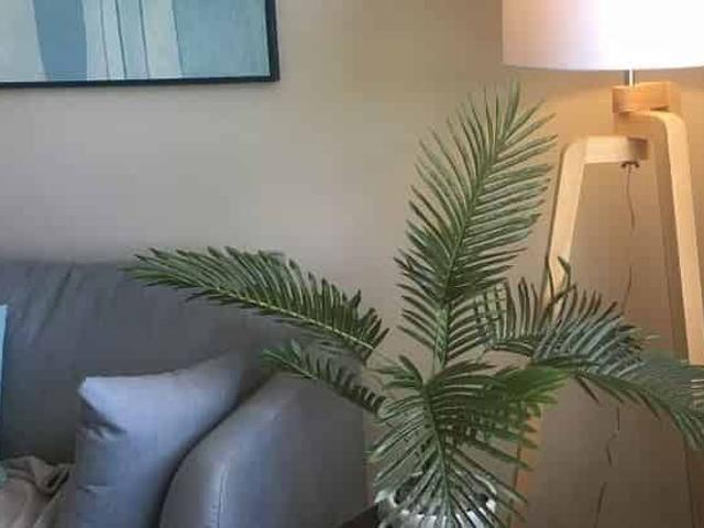 Apartment for rent in Manawatu District