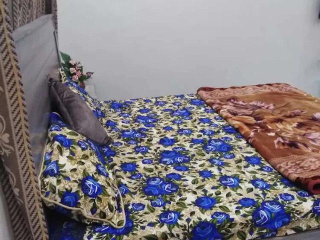 Apartment for rent in ای-11, اسلام آباد