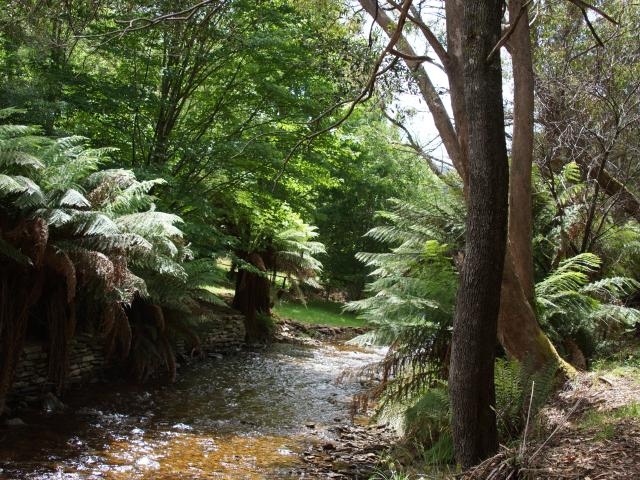 House for sale in Woods Point, Victoria