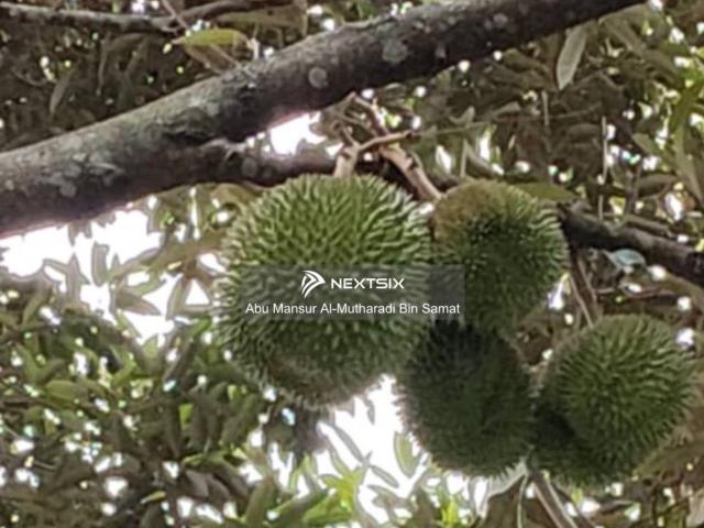 Residential House for sale in Bukit Ledang, Johor