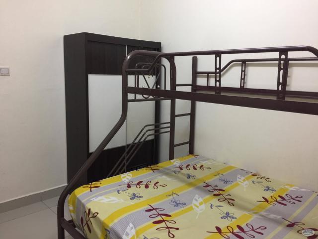 Room for rent in Petaling, Damansara Damai